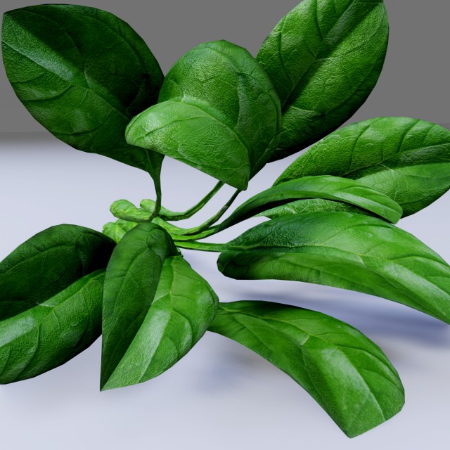 Spinach