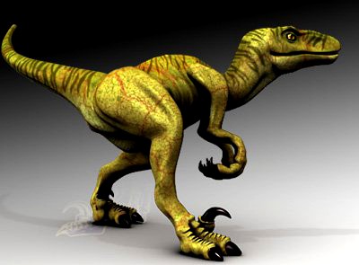 Velociraptor 3D Model