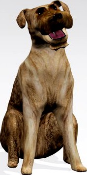 Sitting Dog 3D Model