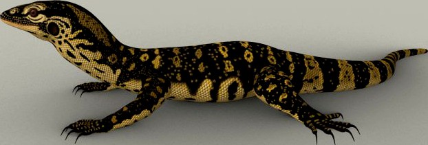 Monitor lizard 3D Model