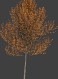 High Poly Autumn Tree 4 3D Model