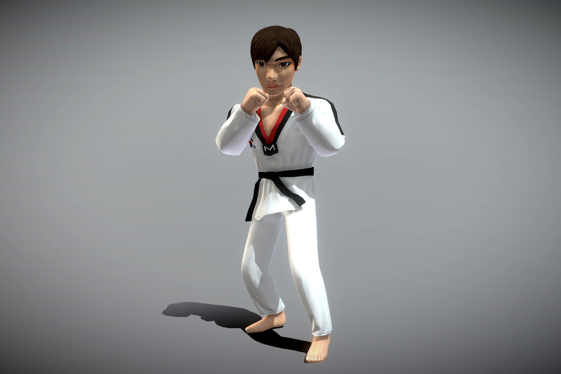 Taekwondo Player