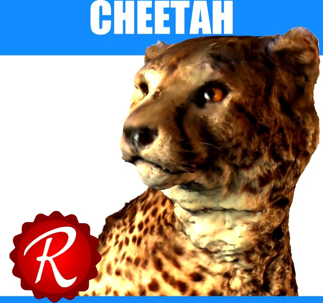 Cheetah 3D Model