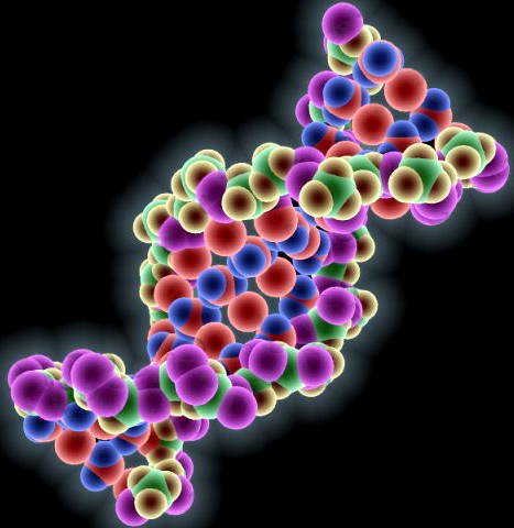 DNA molecule 3D Model