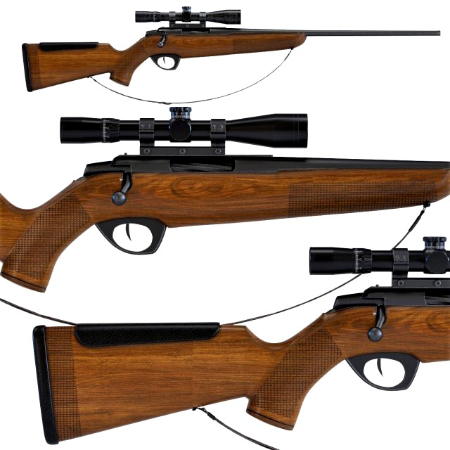 300 bolt action rifle