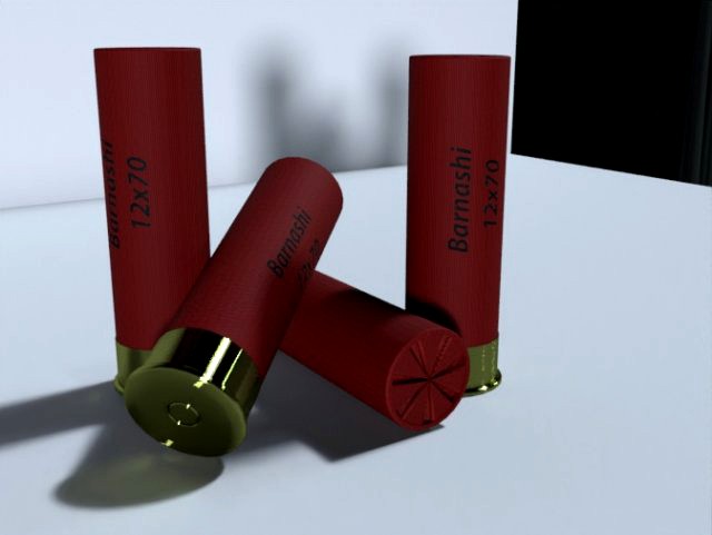 ammo 12x70