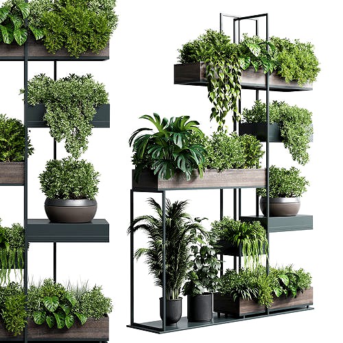 Standing metal shelf with a set of plants