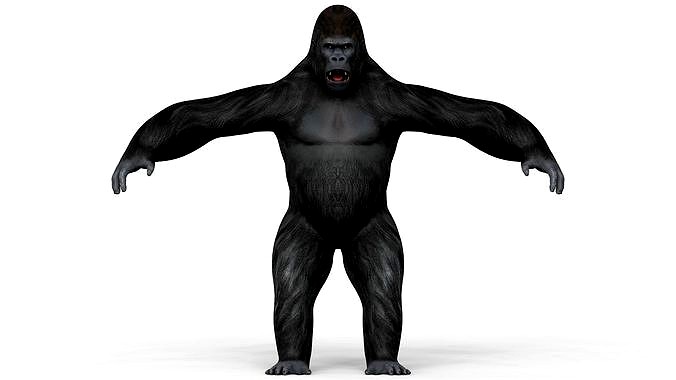 Gorilla With PBR Textures
