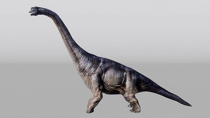 Brachiosaurus