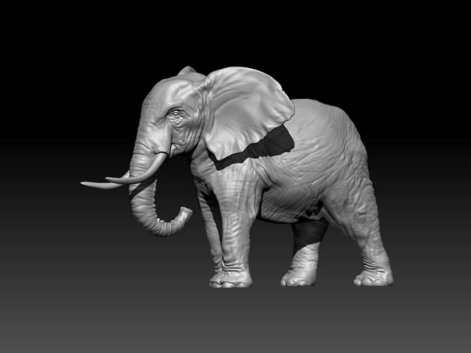 Elephant 3D model for 3d Printing | 3D