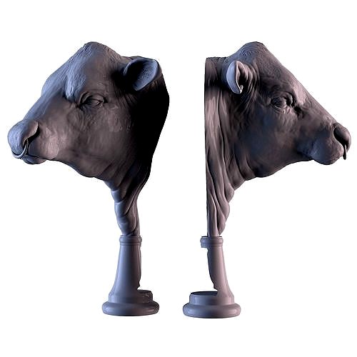 Angus Bull | 3D