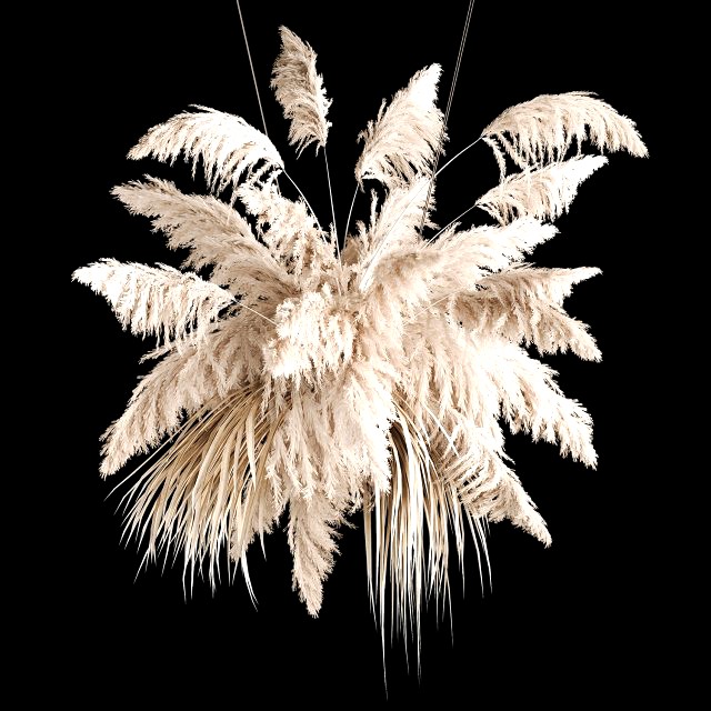 Hanging Bouquet Of Dry Reeds For Decoration 267