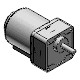 Variable speed induction motor