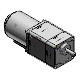 Variable speed induction motor