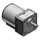 Induction motor