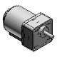 Variable speed reversible motor