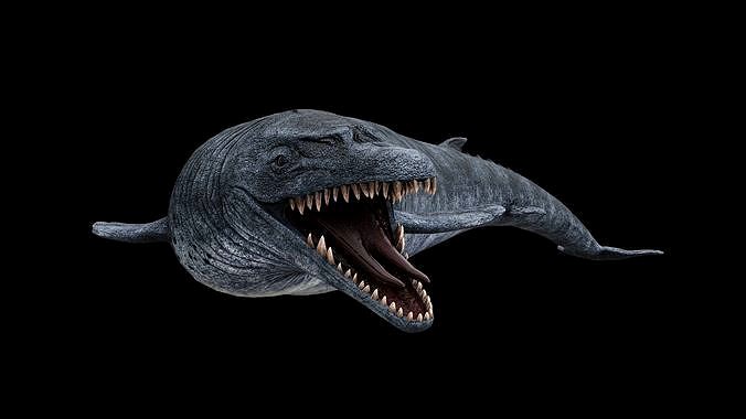 Basilosaurus Sea Dinosaur