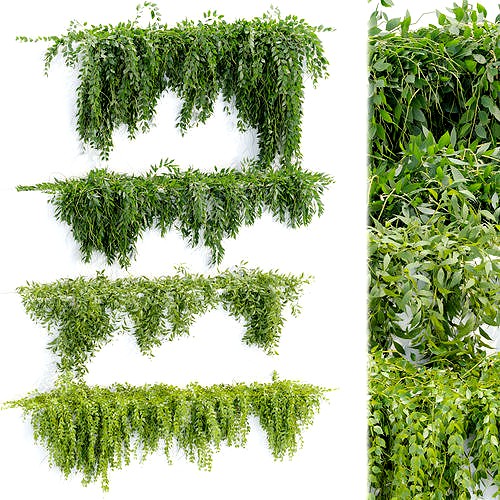 Hanging wall plants collection vol 90 3d model