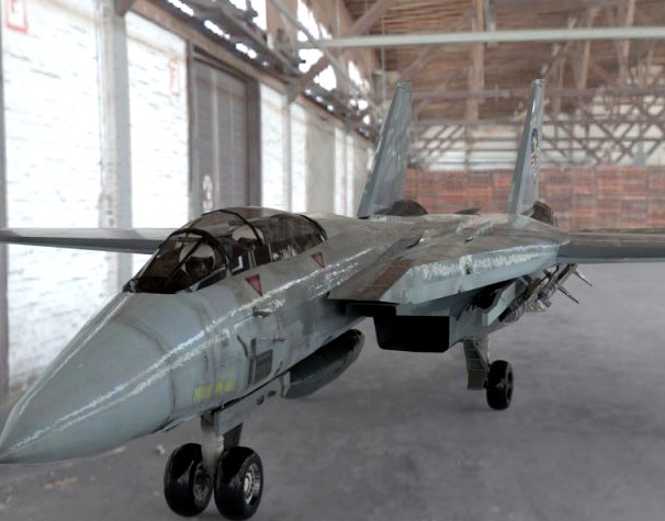 F 14 Tomcat 3D Model