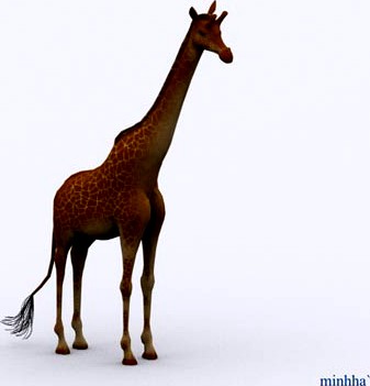 Giraffe 3D Model