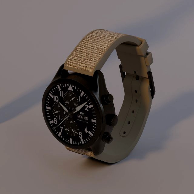 IWC watch