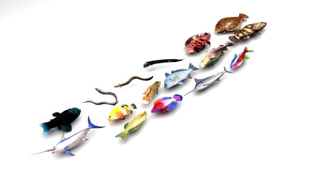 Fishes Set