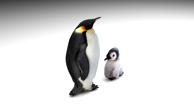 Penguin With Baby Penguin
