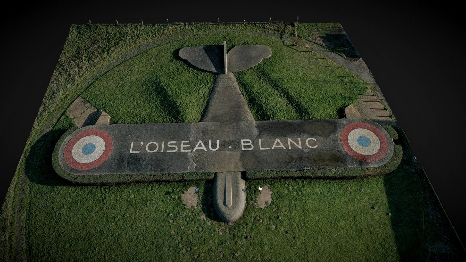 L'oiseau Blanc