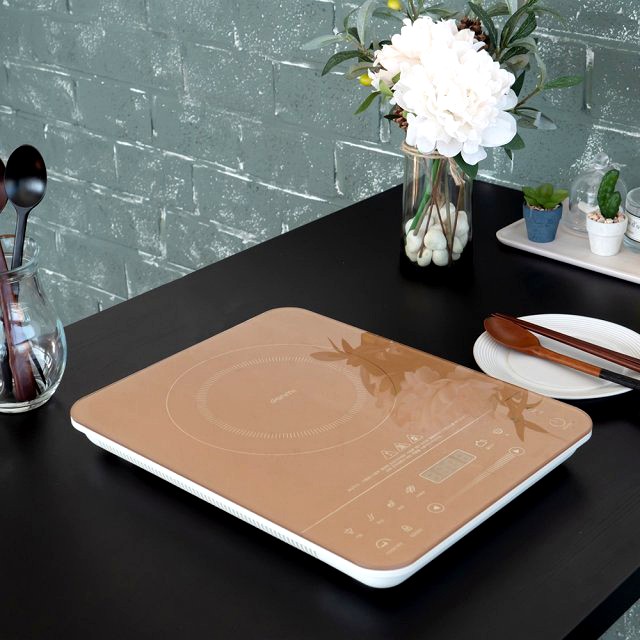 1 burner induction electric stove