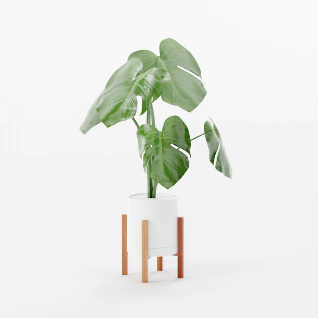 Wood Stand Potted Air Purifying Plant Set 3d model