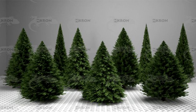 Christmas tree collection 3D Model