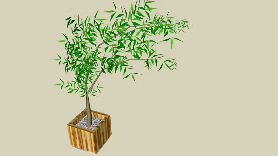 Bambu mosso2