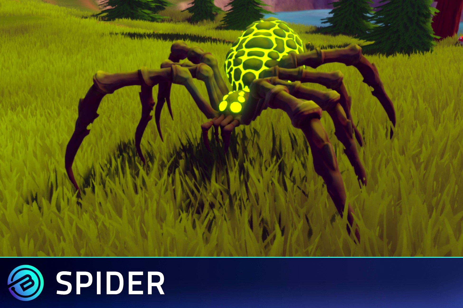 Stylized Spider - RPG Forest Animal