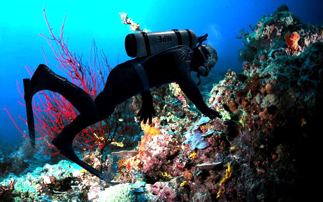 Diver Rigged 3D Model
