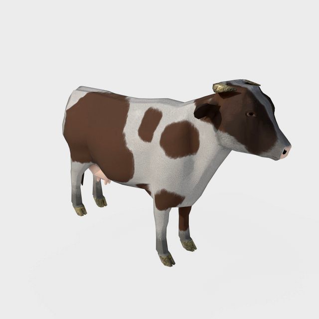 Brown and white cow