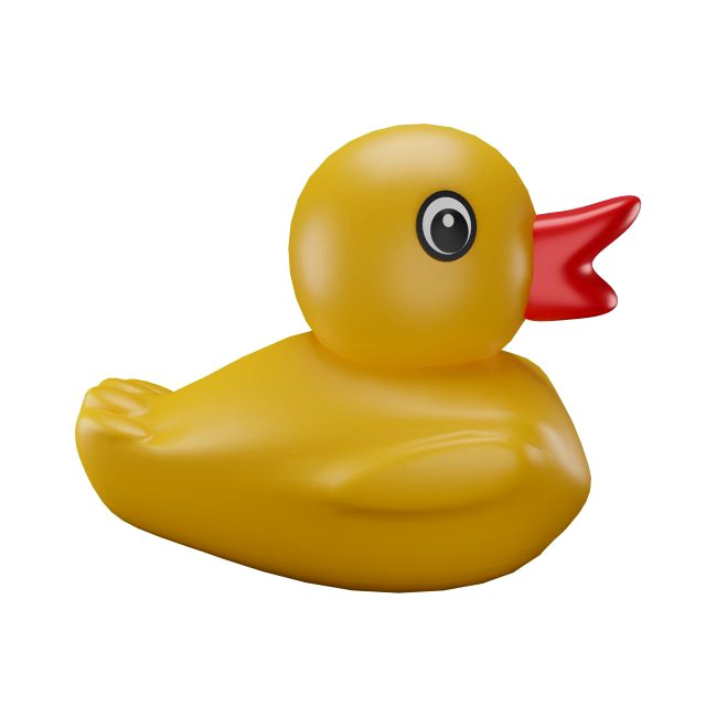 Duck