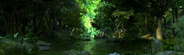 Rainforest
