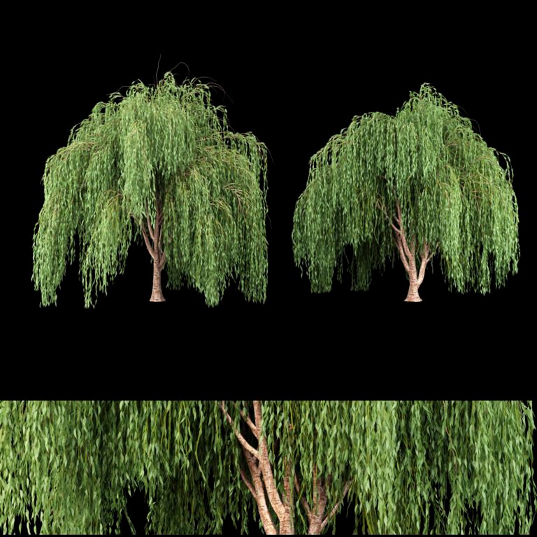 Collection willow trees vol 7 (320779)