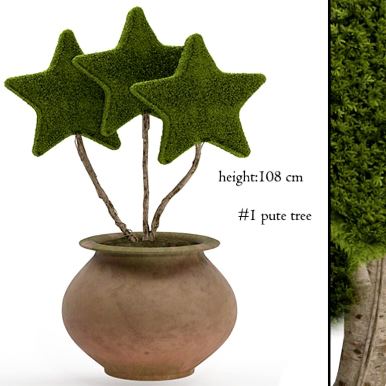 Star tree moss topiary (266351)