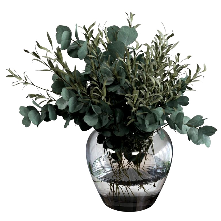 Eucalyptus and olive bouquet (253747)