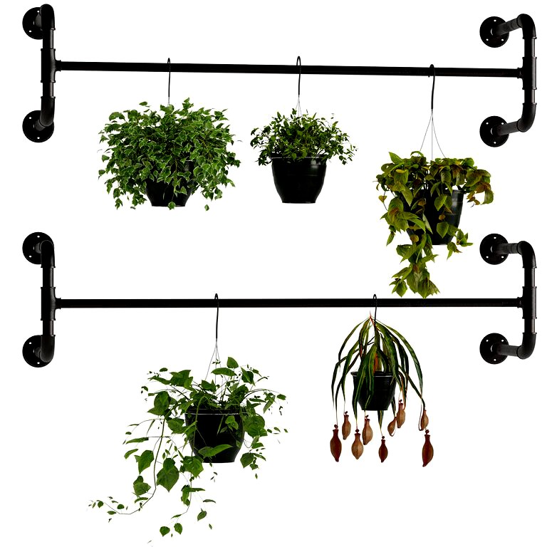 Hanging Plants 5 (198597)