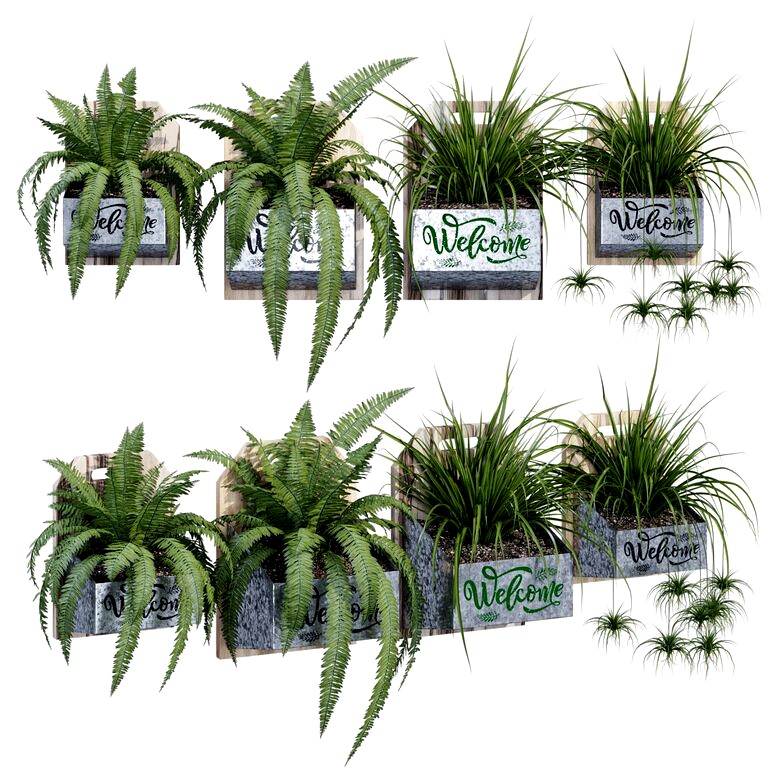 Welcome Plants in wooden boxes  (139466)