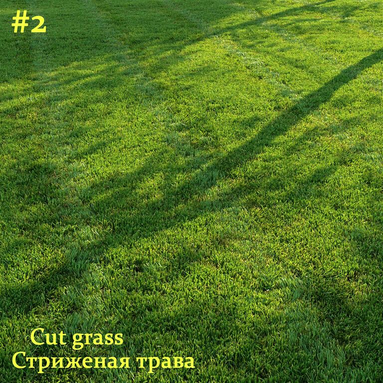 Sheared Grass # 2 (135722)