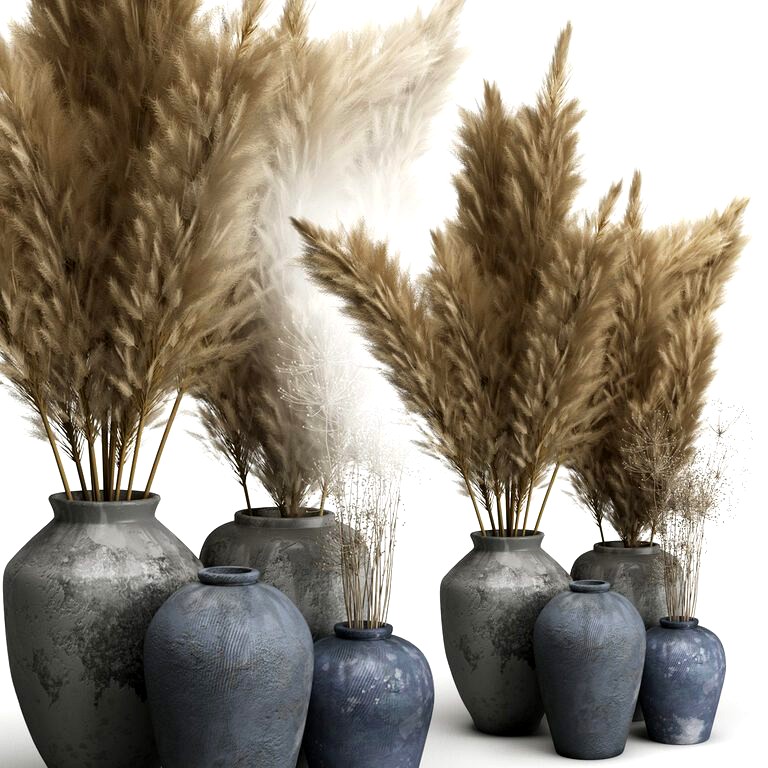 Decorative set of Clay Vases and Pampas Grass (130792)