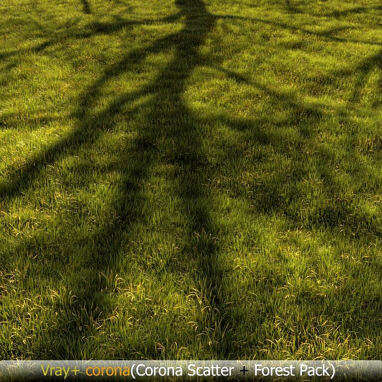 Grass landscape 01 (128876)