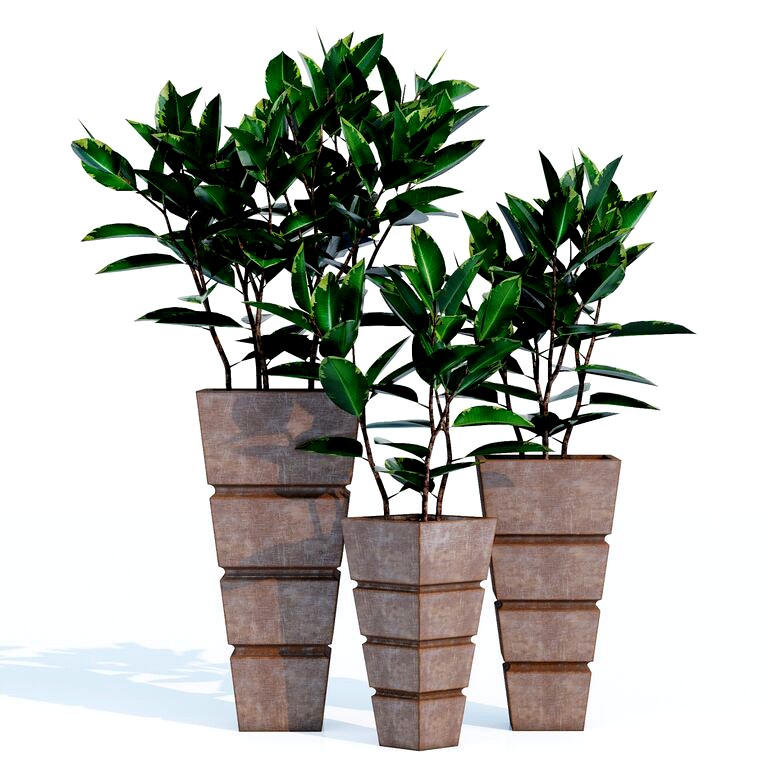 Montijo Potted Plants Set (114738)