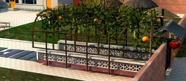 Rural small courtyard