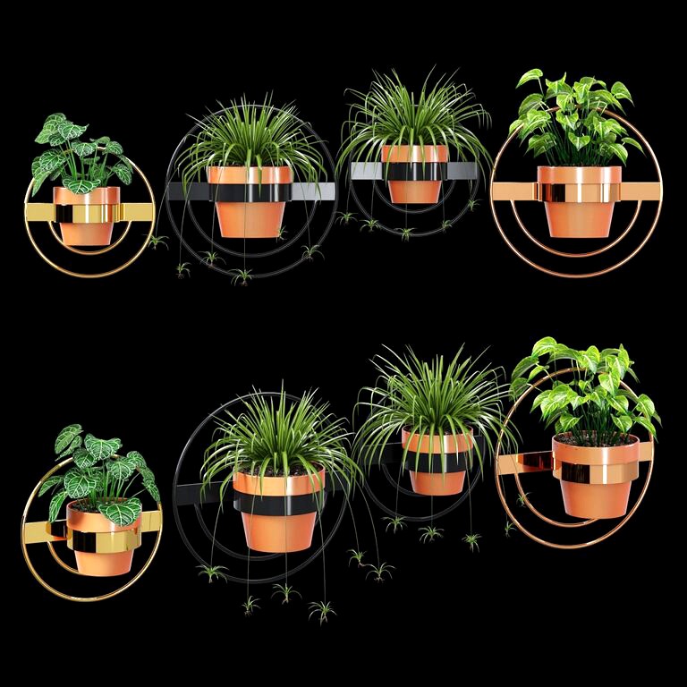 Wall planters round (25474)