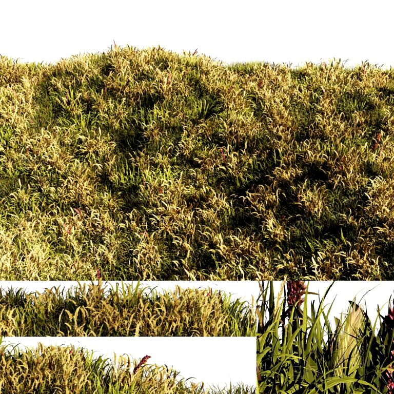 Set Grass with Flower 006 (335521)