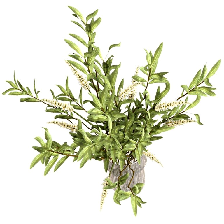 Bouquet of Olive Branches and Flowers (335754)